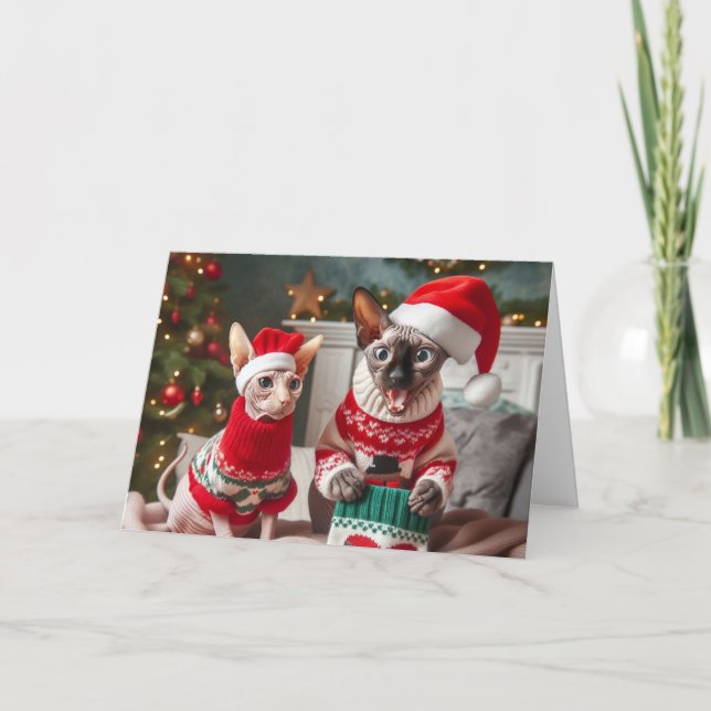 Sphynx Kittens Engraçado Cartão de Férias de Natal (Frente)