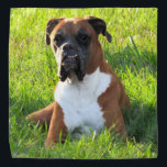 Spike, o cachorro-boxer Bandana<br><div class="desc">Spike, o cachorro-boxer Bandana</div>