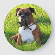 Spike the Boxer - Cachorro - Relógio de Parede