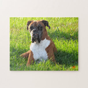 Spike the Boxer Dog - Quebra-cabeça
