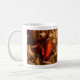 Spinecheek Anemonefish da caneca de café do mar