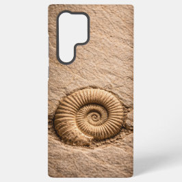 Spiral Ammonite Fossil