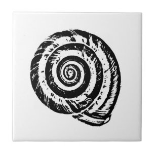 Spiral Seashell, Preto e Branco