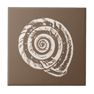 Spiral Seashell, Taupe Tan e Creme / Beige