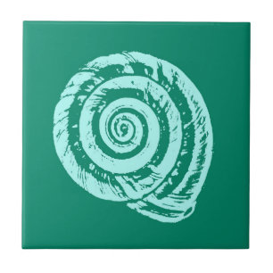 Spiral Seashell, Turquesa e Aqua