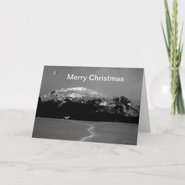 Spirit Pony Sob Cartão De Natal De Lua Gibbus (Frente)