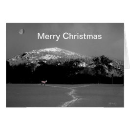 Spirit Pony Sob Cartão De Natal De Lua Gibbus