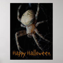 Spooky Spider Web - Poster do Halloween