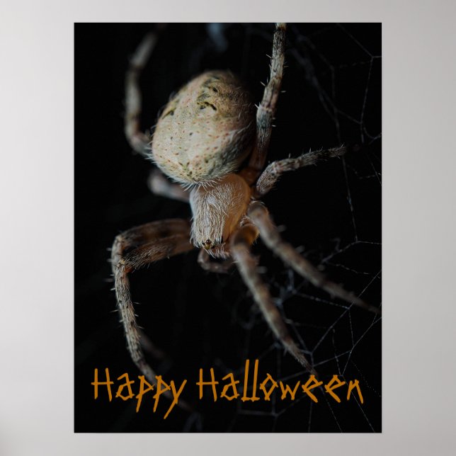 Spooky Spider Web - Poster do Halloween (Frente)