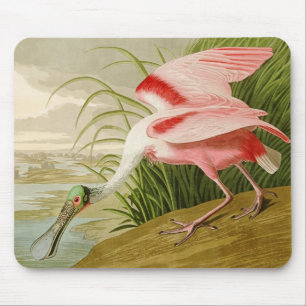 Spoonbill róseo Mousepad