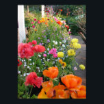 Spring Garden Rannunculus Floral Flowers Poster<br><div class="desc">Spring Garden Rannunculus Floral Flowers Poster. A glorious poster to compliment any decor,  taken from my own writing. Designed from my original watercolor paintings,  that I painted from my own flower garden.</div>