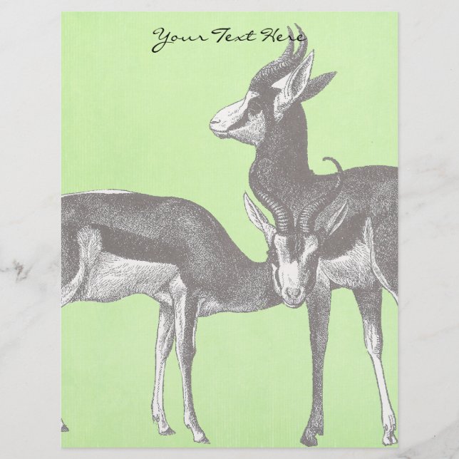 Springbok Letterhead (Frente)
