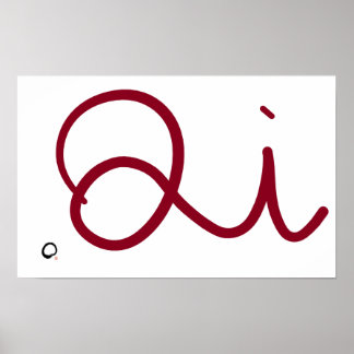 Springchuts Qi Poster