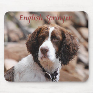 Springer inglês Mousepad