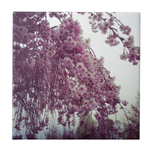 Springtime