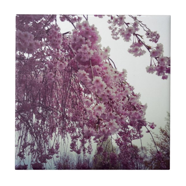 Springtime (Frente)