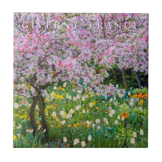 Springtime no Jardim de Claude Monet (Frente)