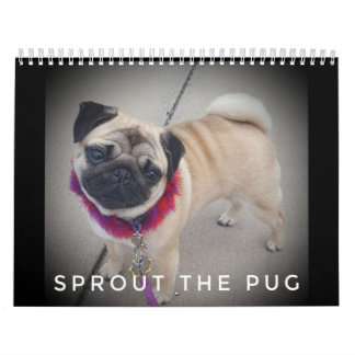 Sprout o calendário 2019 do Pug