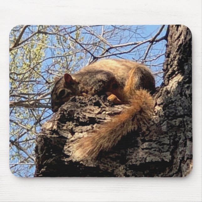 Squirrel Mouse Pad (Frente)