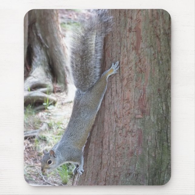 Squirrel Mouse pad (Frente)