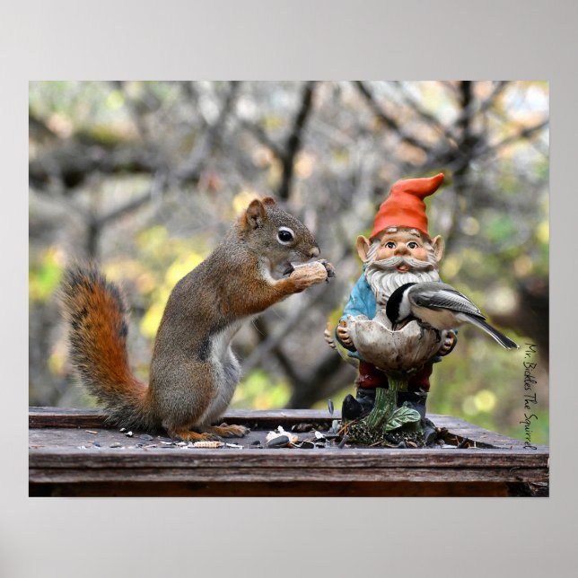 Sr. Bickles O poster de Esquilo (Frente)