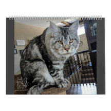 Sr. Filhote de cachorro-Meias Calendário