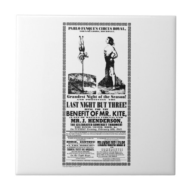 Sr. Papagaio Poster em um azulejo (Frente)