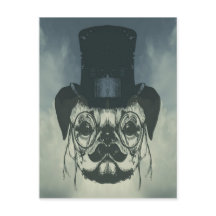 Sr. Pug em um Cartão