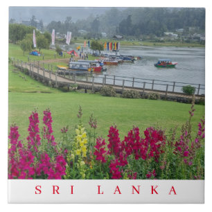 Sri Lanka Lake Gregory vê azulejo cerâmico