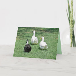 Srta. Cartão - Saindo