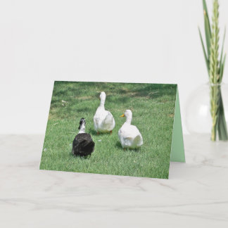 Srta. Cartão - Saindo