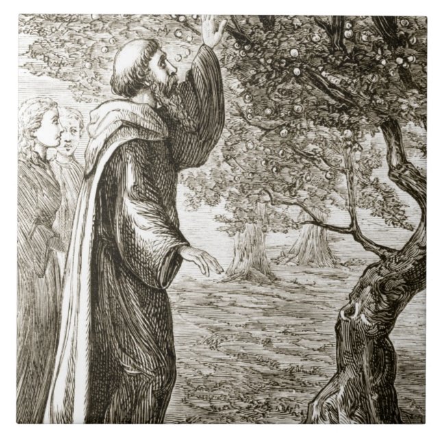 St. O Columba muda a fruta amarga no doce, de (Frente)