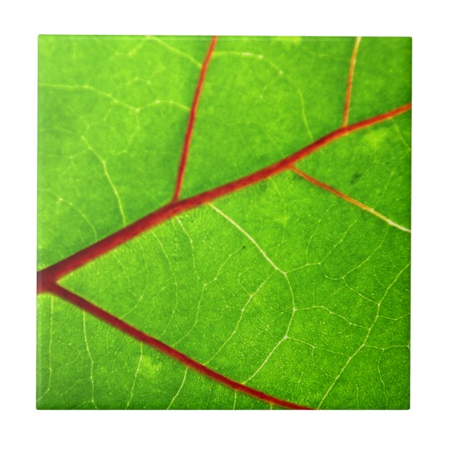 St Thomas 1 (Frente)