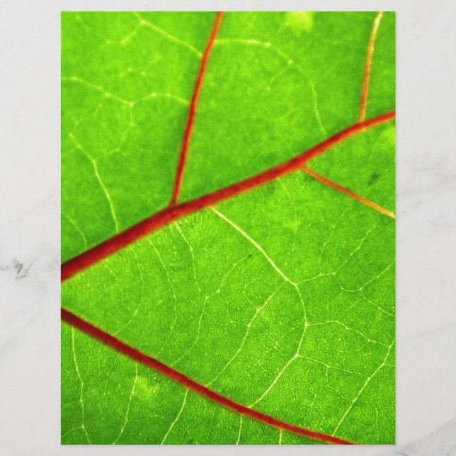 St Thomas 1 (Frente)