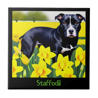 Staffodil - Staffy no Daffodils
