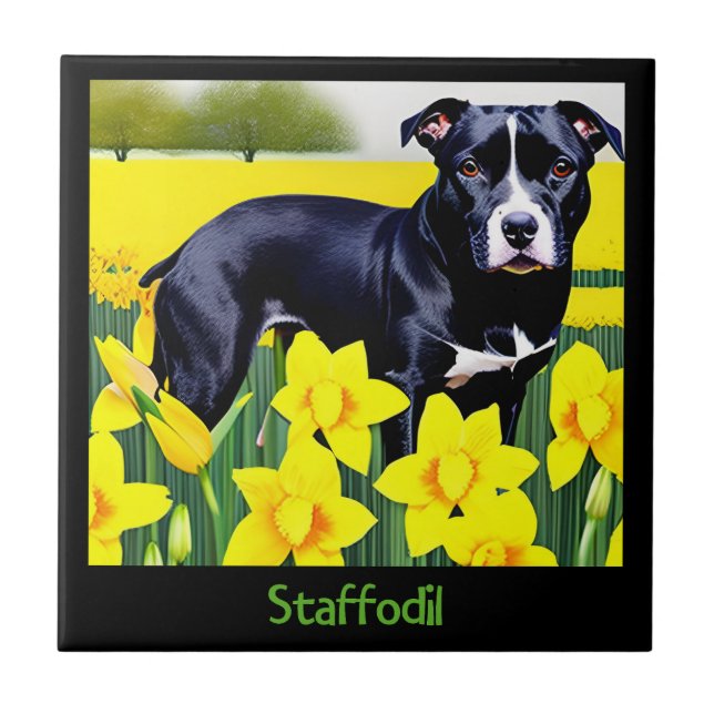 Staffodil - Staffy no Daffodils (Frente)