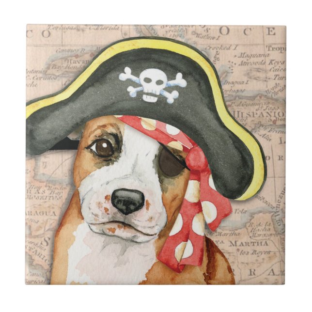 Stafford Pirate (Frente)