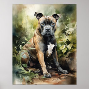Staffordshire Bull Terrier Dog Art Impressão