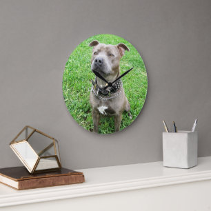 Staffordshire Bull Terrier, Relógio de Parede