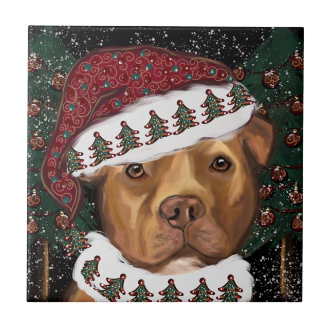 Staffordshire Terrier Americano  (Frente)
