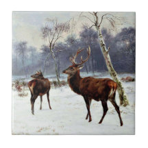 Stag and Doe em um Paisagem de Neve