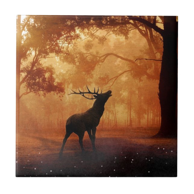 Stag at Sunset (Frente)