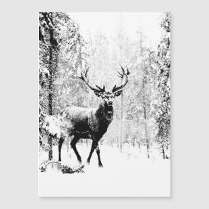 Stag Deer Winter Forest Willife Animal Nature Art