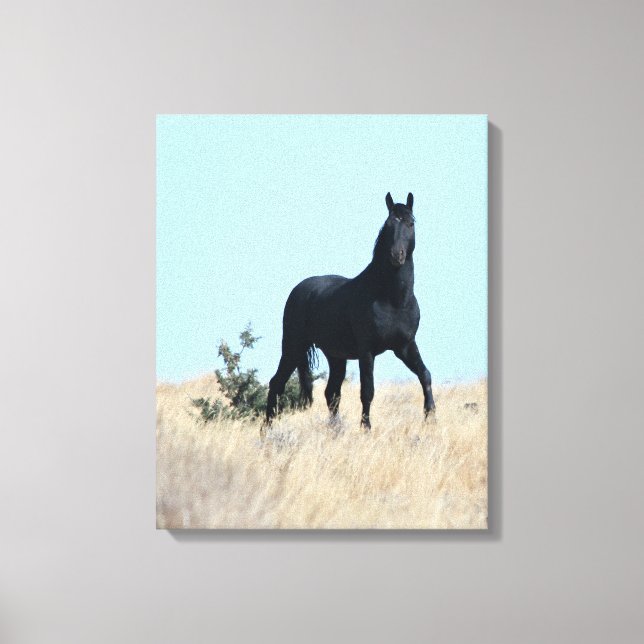 Stallion Voodoo Canvas (Frente)