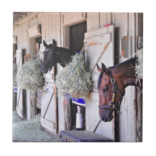 Stanwyck pelo fabricante do império