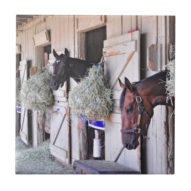 Stanwyck pelo fabricante do império (Frente)