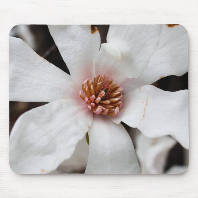Star Magnolia Mouse Pad (Frente)