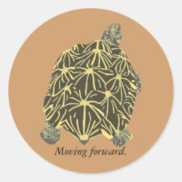 Star Tortoise, pintura sobre adesivos de afirmação