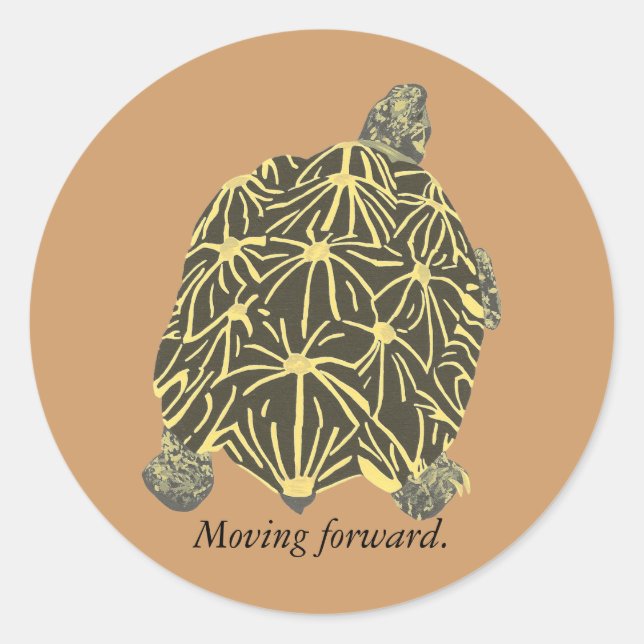 Star Tortoise, pintura sobre adesivos de afirmação (Frente)