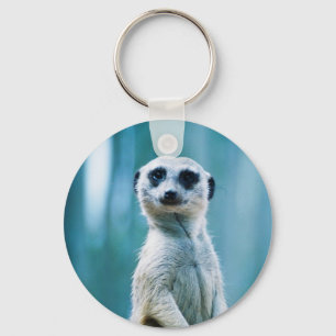 Staredown de Meerkat - o chaveiro
